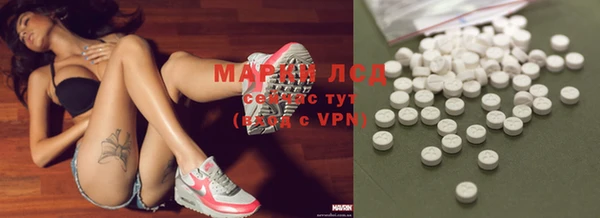 прущие грибы Бикин