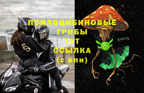 соль ск Осинники