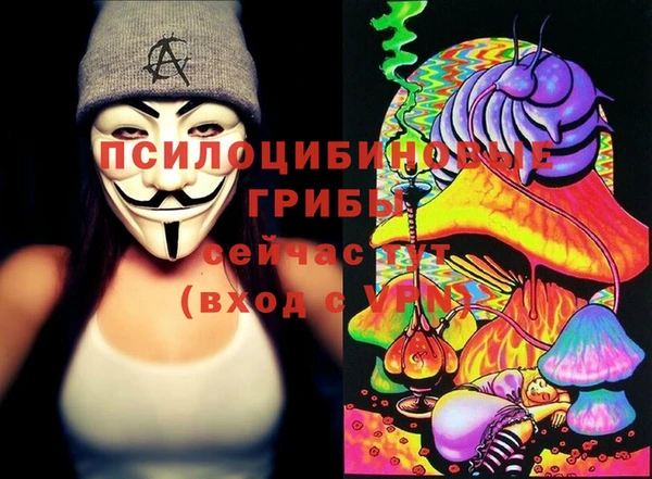 Альфа ПВП Осташков