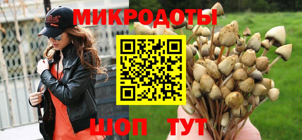Галлюциногенные грибы MAGIC MUSHROOMS Отрадный